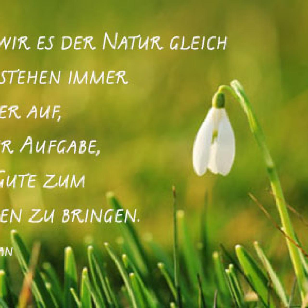 Natur